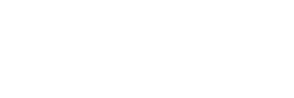 WeiseMedia Logo